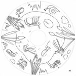 Recharge coloriage enfant 10 feuilles – OMY® Objets & imaginaire (dès 4 ans)