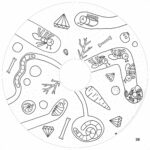 Recharge coloriage enfant 10 feuilles – OMY® Objets & imaginaire (dès 4 ans)