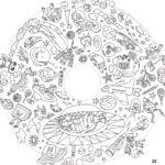 Recharge coloriage enfant 10 feuilles – OMY® Objets & imaginaire (dès 4 ans)